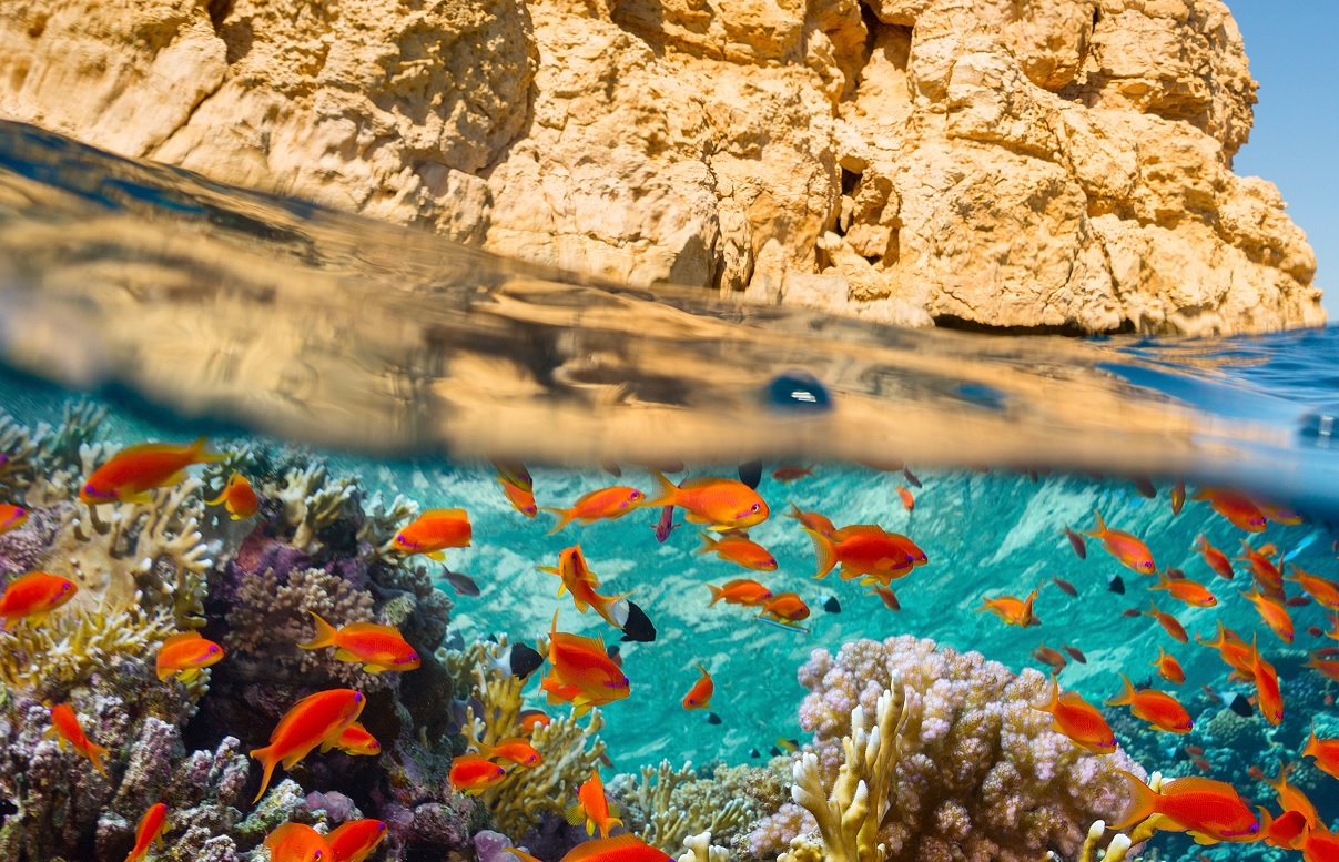 Speciale Sharm El Sheikh