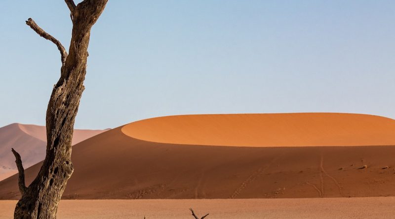 Namibia Emotion