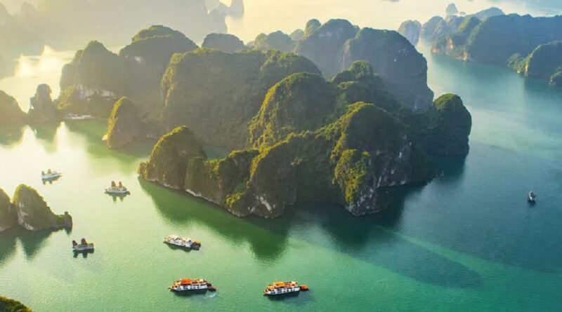Vietnam Perle Vietnamite