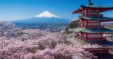 Giappone Colori della primavera