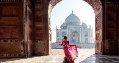 India Il triangolo d'oro
