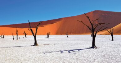 Namibia meraviglie ed emozioni