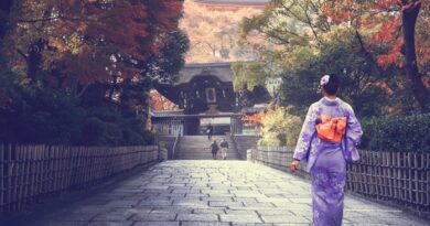 Giappone Japan Gourmet