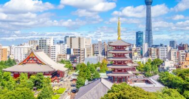Giappone Smart Japan