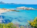 Sardegna calore e fascino del sud