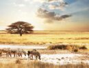 Namibia tra i due deserti